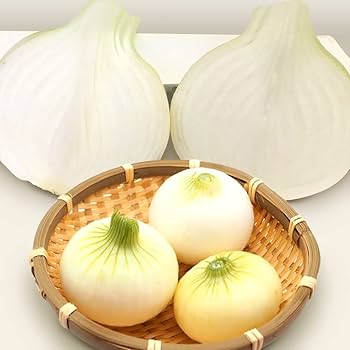 玉ねぎ 種 野菜たね タマネギ （超極早生）新春玉葱EX 1袋（3ml） 玉葱