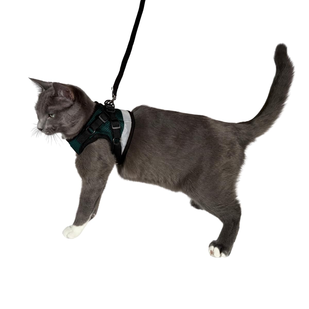 Travel Cat The Emerald Explorer - Arnés para Gatos de edición Limitada, arnés de Malla Ajustable y Correa Reflectante, cómodo arnés a Prueba de Escape para Gatos, Gatitos (pequeño, Esmeralda)