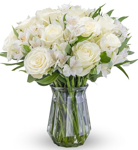 Benchmark Bouquets - Elegance Roses & Alstroemeria (Glass Vase Included) - Fresh Flowers for Next...