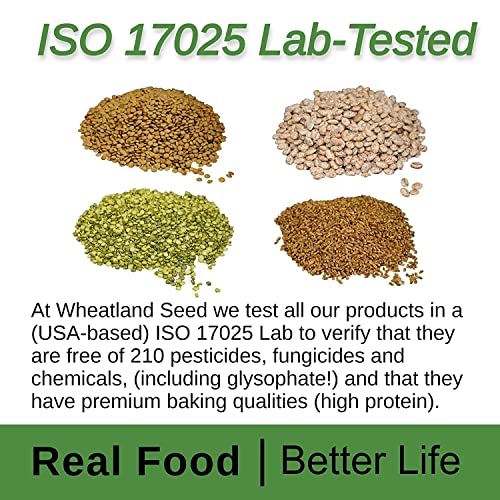 Wheatland ™ Black Beans • Bulk 20Lbs • Chemical Free • Turtle Beans • Farm Fresh • 25 Year+ Shelf Life • Emergency Food Storage • Vegan • Non-Gmo • Never Irradiated No Desiccants • High Trust Seller • 40 Year Legacy Of Prepping • 20Lbs thumb #2