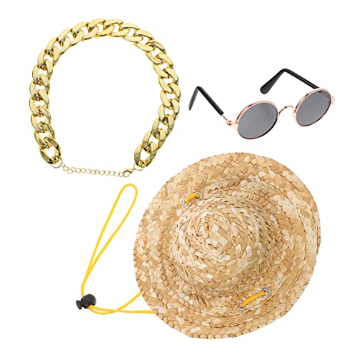 Accesorios para mascotas POPETPOP sombrero y lentes