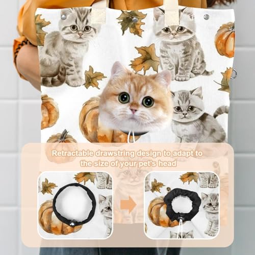 Bolsa de hombro de lona para mascotas: pasea con tu gato este Halloween 4