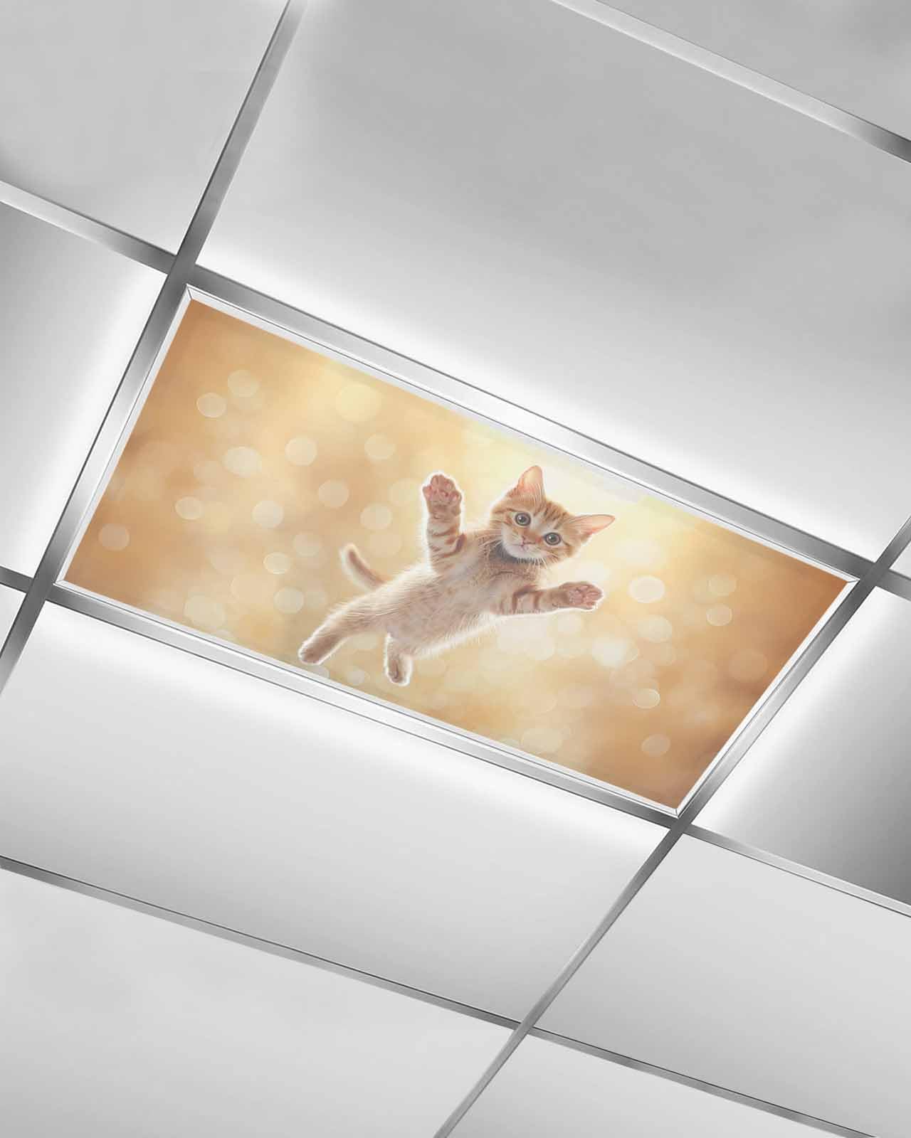 Cute Orange Cat Fluorescent Light Covers for Ceiling Lights 4x2 feet,1 Pack Magnetic Light Filters for Classroom,Lovely Modern Floating Pet Kitten