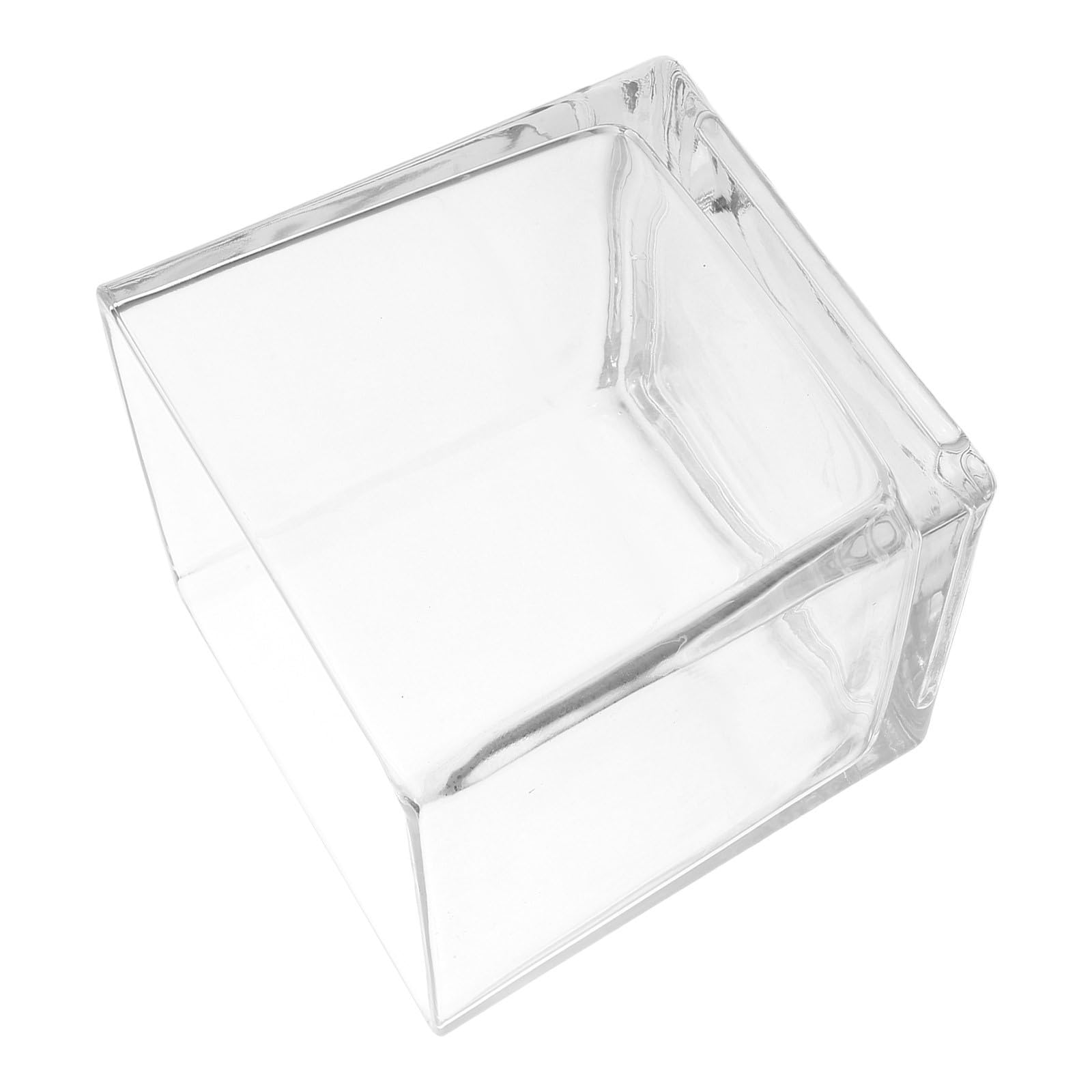 ABOOFAN Vaso in vetro a cubo trasparente 15 x 15 cm per composizioni floreali idroponiche, per soggiorno e casa