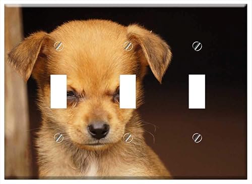 Interruptor Placa Triple Palanca - Paisajes Armenia Quindio El Campo Colombia 1