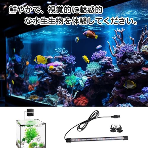 EsiFare 水族館タンクライト EsiFare-01 の商品画像 2