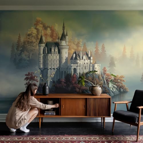 Vinilos decorativos de castillo de cuento con ilustraciones para el hogar 4