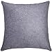 PHILLIPO & PARIS Poszewka na poduszkę z aksamitu z ukrytym zamkiem błyskawicznym, poszewka na poduszkę na sofę lub łóżko, poszewka na poduszkę 45 x 45 cm jako dekoracyjna poszewka na poduszkę, w kolorze szarym