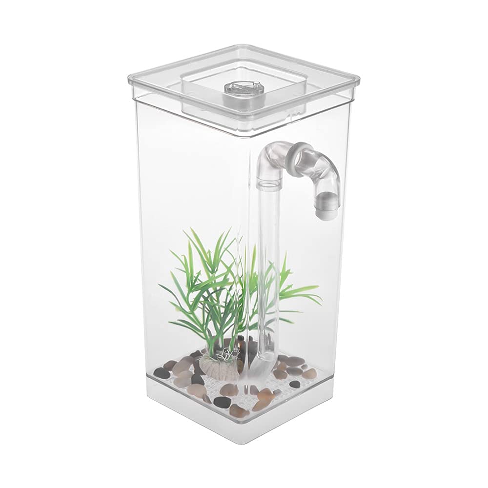 Aquarium Mini réservoir de Poisson Aquarium avec LED Lampe lumière Poisson Combats Cylindre Auto Nettoyage Petit réservoir Acrylique boîte Aquarium boîte Bocal ​Poisson (Color : White)