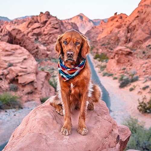 Image of Wilderdog Dog Bandana with Lightweight Quick Drying Poly-Blend Mesh Material in Rainbow