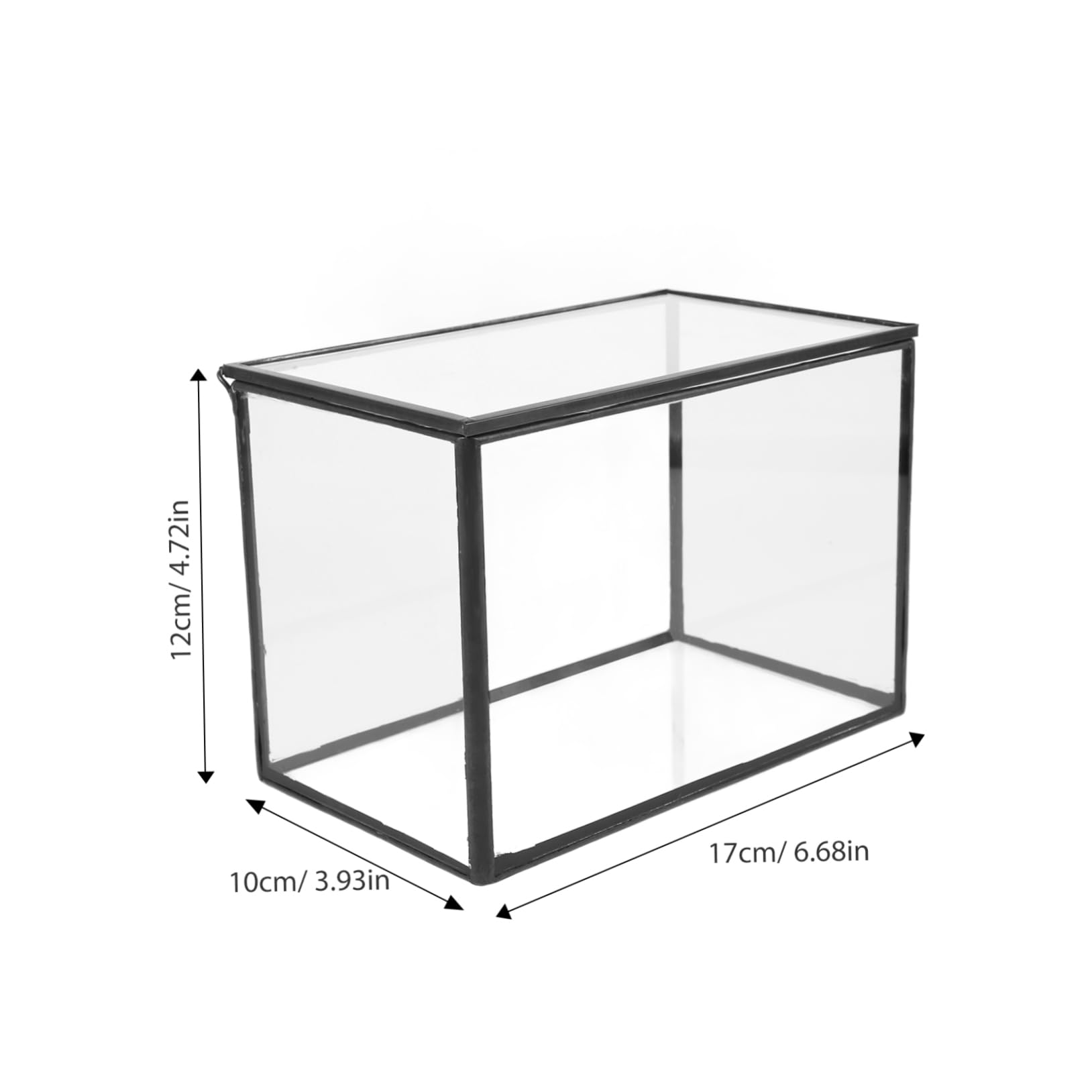 Terrario Per Piante Succulente Contenitore Trasparente Per Paesaggi Design Artistico Per Decorazione Casa e Ufficio Compatte e Leggere Per Progetti e Regali Originali
