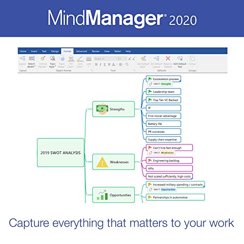 Corel MindManager 2020 | Mind Mapping Software [PC Download] [Old Version] - Thumbnail 2