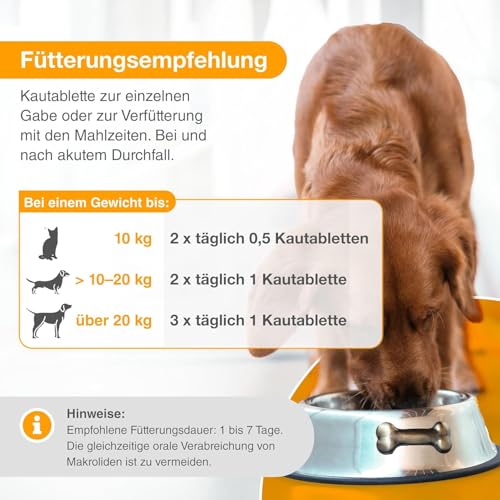 alfavet Dia Tab 20 x 5,5 g – Diät-Ergänzungsfuttermittel für Hunde & Katzen – Mit pflanzlichen Inhaltsstoffen zur Regulierung der Verdauung & Darmflora – Kautabletten mit Präbiotika