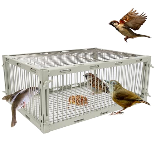 Universal Sparrow Trap Cage Birds Trap Cage with Escape-Proof Design One Way Bird Catcher Traps for Starlings Quail Cardinals and So On Made from Rust-Resistant Metal for Long-Lasting Use