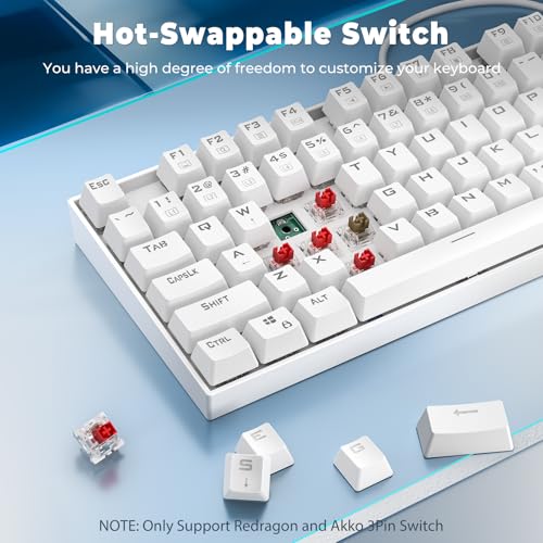 dragon K552 - Tastiera meccanica da gioco 60% compatta a 87 tasti, con cavo Kumara Cherry MX blu, equivalente per Windows PC Gamers (RGB retroilluminato) - Tastiera gaming - Immagine 3