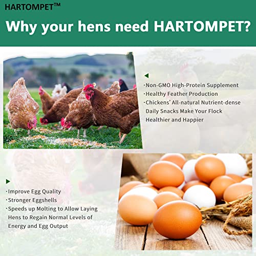 GRUBSFARM HARTOMPET Better Than Dried Mealworms for Chickens 5 lbs - 85X Calcium Than MealWorms - Non-GMO Chicken Feed Additive - Black Soldier Fly Larvae Treats for Hens, Ducks, Wild Birds - Image 5
