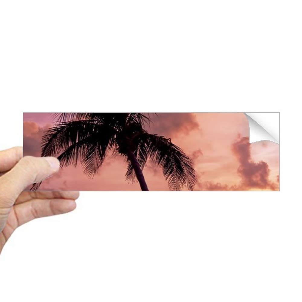 Adhesivo de playa y barco para ventanas de caravanas y coches de entusiastas de la naturaleza