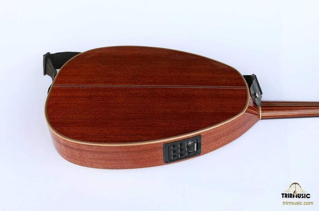 Professional Arabic Electric Oud Ud Lute String Instrument Oude EA5