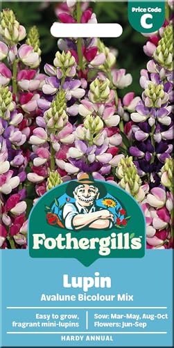 Fothergill's Lupin Seeds 'Avalune Bicolour Mix'