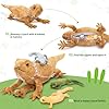 Tezituor Lizard Stuffed Animal with 4 Babies, 26.5" Realistic Big Bearded Dragon Plush Toy Home Decor Birthday Gifts for Boys Girls, Brown #2