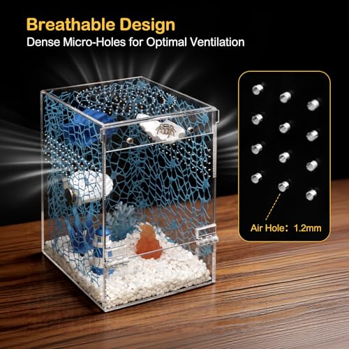 Image of Jumping Spider Enclosure Starter Kit,Escape Proof Ocean Terrarium | Praying Mantis Terrariums,Transparent Acrylic Complete Bug Habitat,All In One Arboreal Tarantula Cribs Cage,Insect Container
