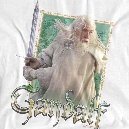 Popfunk Lord of The Rings Characters Collection Kids T-Shirt for Youth Toddler Boys and Girls3