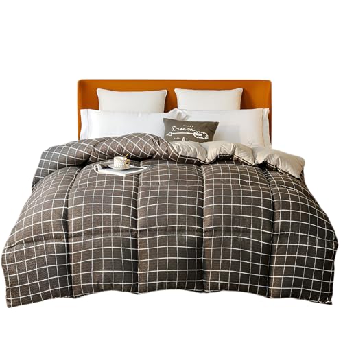 [mocoly]ywp ~zcz g  VO/_uΉ GARΉ Ȑ݌v e_炩 lGg wEl炵p 􂦂 y {dl  200x230cm [H~pLg 8]