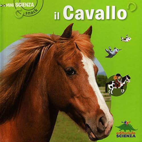 Il cavallo