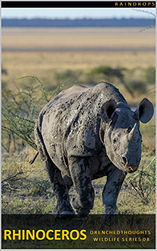 Rhinoceros in 5 Words: Wildlife Series: 2021 Series (English Edition