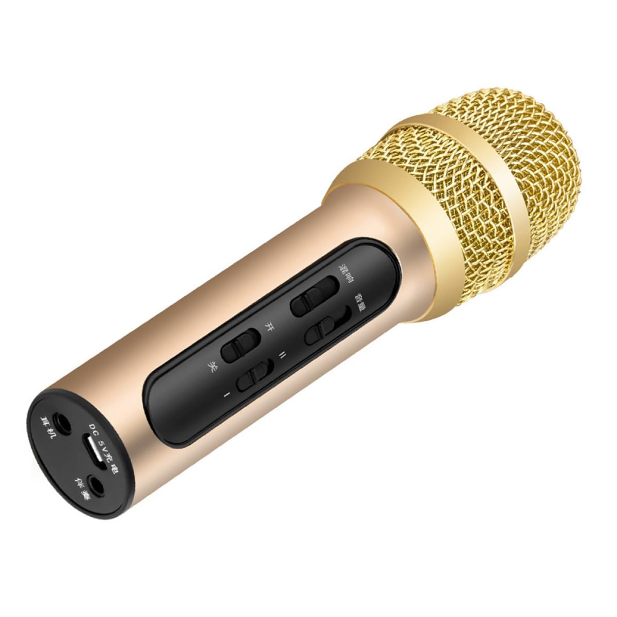Microphone pour spectacles en studio et chant en public avec entrée audio externe - 8