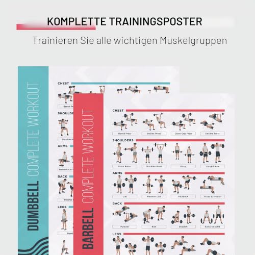 Postermate - Fitness Poster fürs Kurz- & Langhanteltraining - 2er Set - 42 x 63 cm - perfekte Übersicht - professionelles Bodybuilding Poster zum Training - Geeignet für Mann, Frau, Homegym & Sport