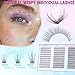 Lash Clusters Wispy Eyelash Clusters C-Curly Individual Lashes zanlufly Natural 300Pcs Cluster Lashes Eyelash Extension 10 12 14MM DIY Lash Extension
