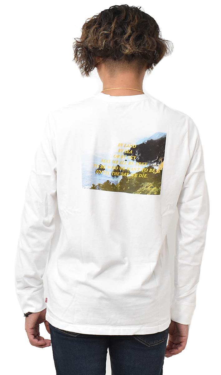 Levi's デザートプリント 長袖Tシャツ Sサイズ Levi's デザートプリント 長袖Tシャツ Sサイズ