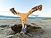 Boomerang for Teens & Adults, Designed for Beginners – Easy to Throw, Pro Performance Boomerang That Comes Back, Made of Plywood, Fun Outdoor Game, Thin, Lightweight and Safe to Use, Model: N6