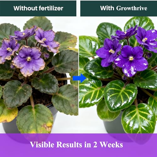 Fertilizante Líquido Orgánico para Violetas Africanas 300ml miniatura 6