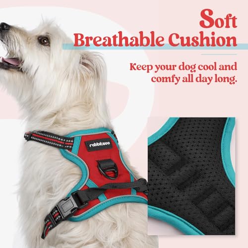 Image of rabbitgoo Dog Harness No Pull with 2 Leash Clips, Adjustable Soft Padded, Reflective Oxford No Choke Pet Vest with Easy Control Handle for Puppy, Red & Teal, XS