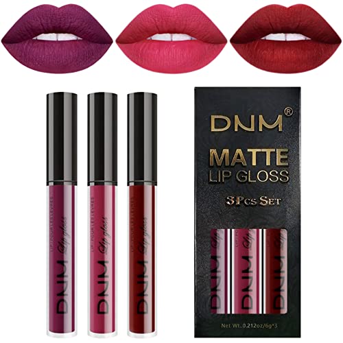 3Pcs Matte 24-hour Liquid Lipstick Sets,DNM Matte Dark Red Purple Lipstick Lip Stain Long Lasting 24 Smudge Waterproof Lip Gloss Gift Set Matt Lipsticks Set A