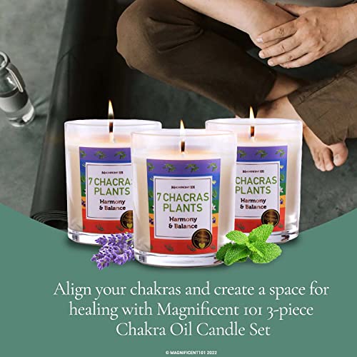 Magnificent 101 7 Chakras Plants Set Of 3 Candles #TOP1