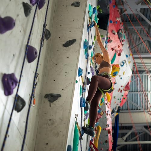 Foto von ALPIDEX 60 Klettergriffe | Kletterfläche 4-8 m² | Griffe Größen L, M, S, XS | Starterset | Klettersteine | Klettergriffset - Farbe:Mixed Coloured