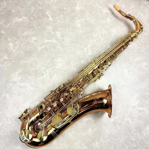 YANAGISAWA T-WO2 �e�i�[�T�b�N�X �u�����Y�u���X�� ���C�g�d�l ���i�M�T��