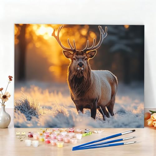  G LbghG hDIYG  G LoX hG, DIYG fW^GS҂ƑlLoXɔԍŃyCg邱ƂړI, ̕ǂ̉Ƃ̑, Ղ j  ւ̃Mtg, t[X 100x135cm W