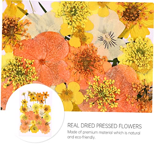 Kit flores secas naturales 40 piezas color naranja miniatura 7