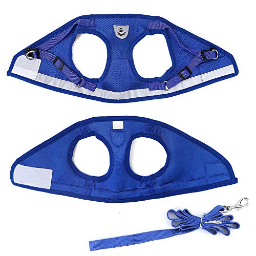 Image of FEimaX Dog Harness and Leash Set for Walking, Soft Mesh Adjustable Easy Control Lightweight Cat Vest Harnesses with Reflective Strips, Escape Proof Small Dogs Cats Vests (Blue, X-Large)