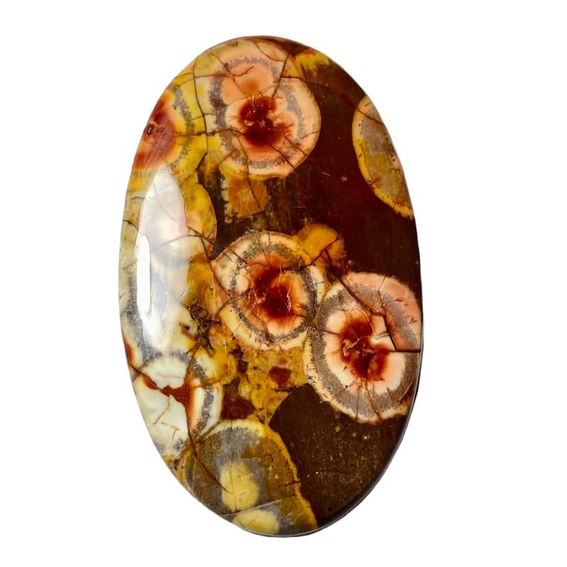 Cabochon jaspe œil d'oiseau naturel 61x37mm pierre en vrac pour bague et pendentif