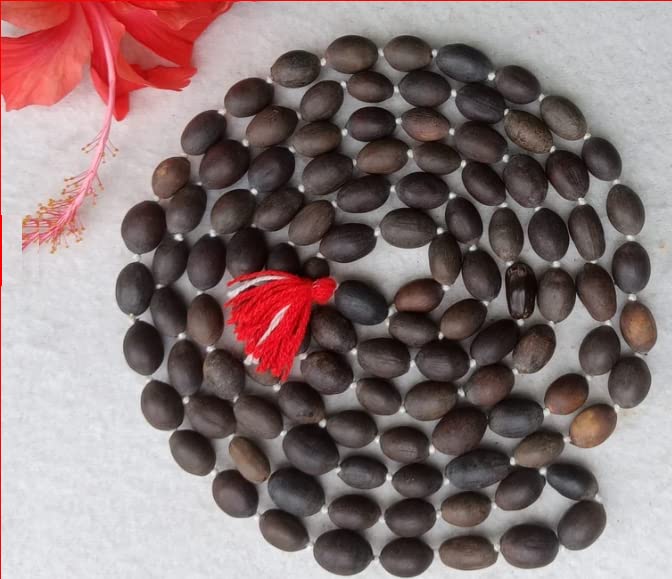Seven-Hills Attractive Lotus Beads Mala 108 Original Certified AAA++ Pure Kamal Gatta Mala Blessed by Maa Laxmi Thamarai Mani Malai for Astrological Purpose कमलगट्टे की माला ओरिजनल पहने