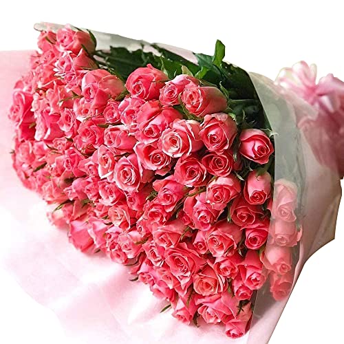 BisesFlower(rYt[)o ԑ 100{ sN yN[ցzv|[Y TvCY  [Y KN u[P EFfBO v[g  LO  ỏԑ a KN̉ԑ