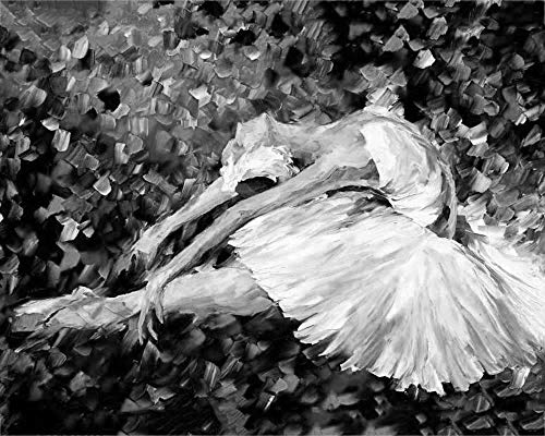 OSDFN Erwachsene Puzzle 6000 Teile Puzzle Ballett Tänzerin Puzzle Herausforderndes Puzzle-Spiel