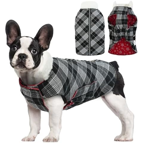 LETSQK Windproof Dog Jacket Outdoor with Leash Hole, Cold Weather Dog Clothes, Reflective Warm Dog Coats for Large Dogs, Winter Dog Coats for Border Collie, Red XL Cover