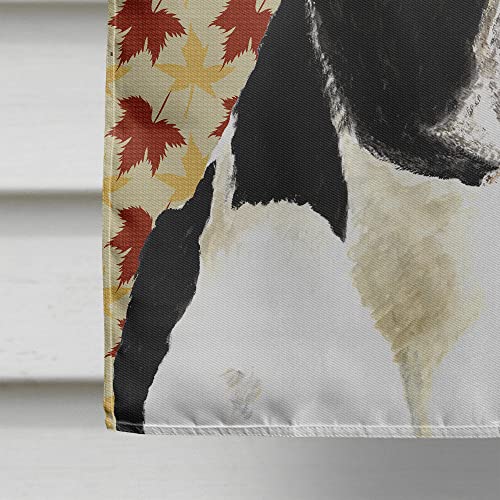 Boston Terrier Fall Leaves Portrait Flag grand drapeau maison - 5