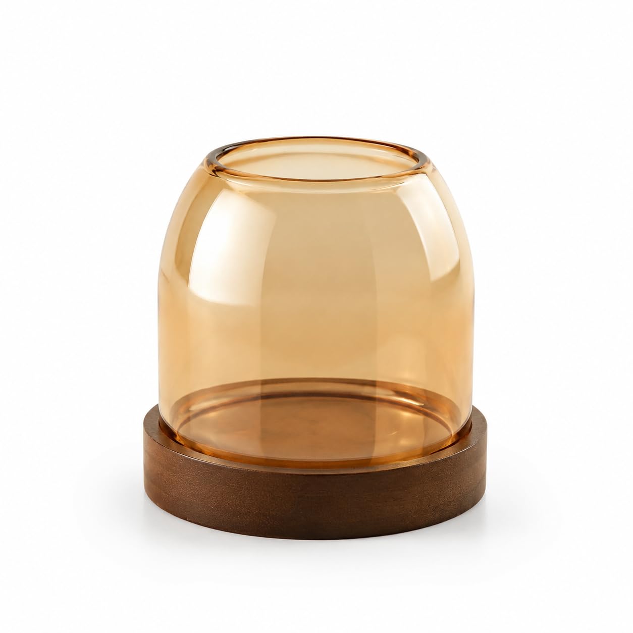 Vase en verre hydroponique pour plantes décoration salon bois